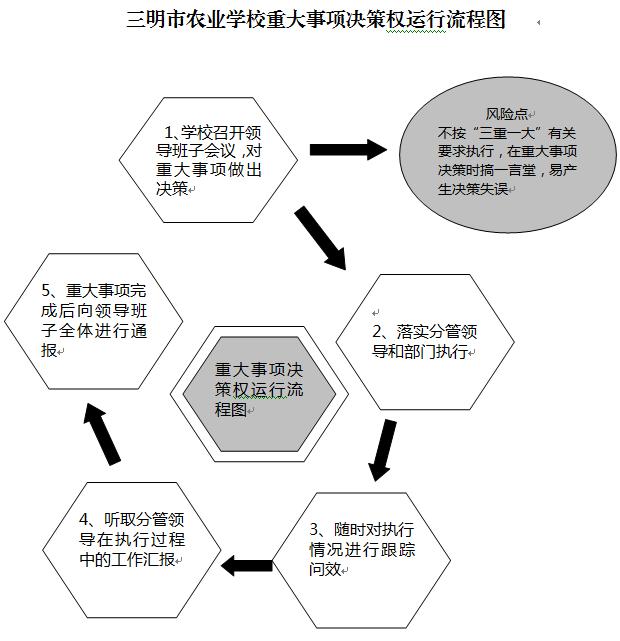开云online(中国)重大事项决策权运行流程图.JPG